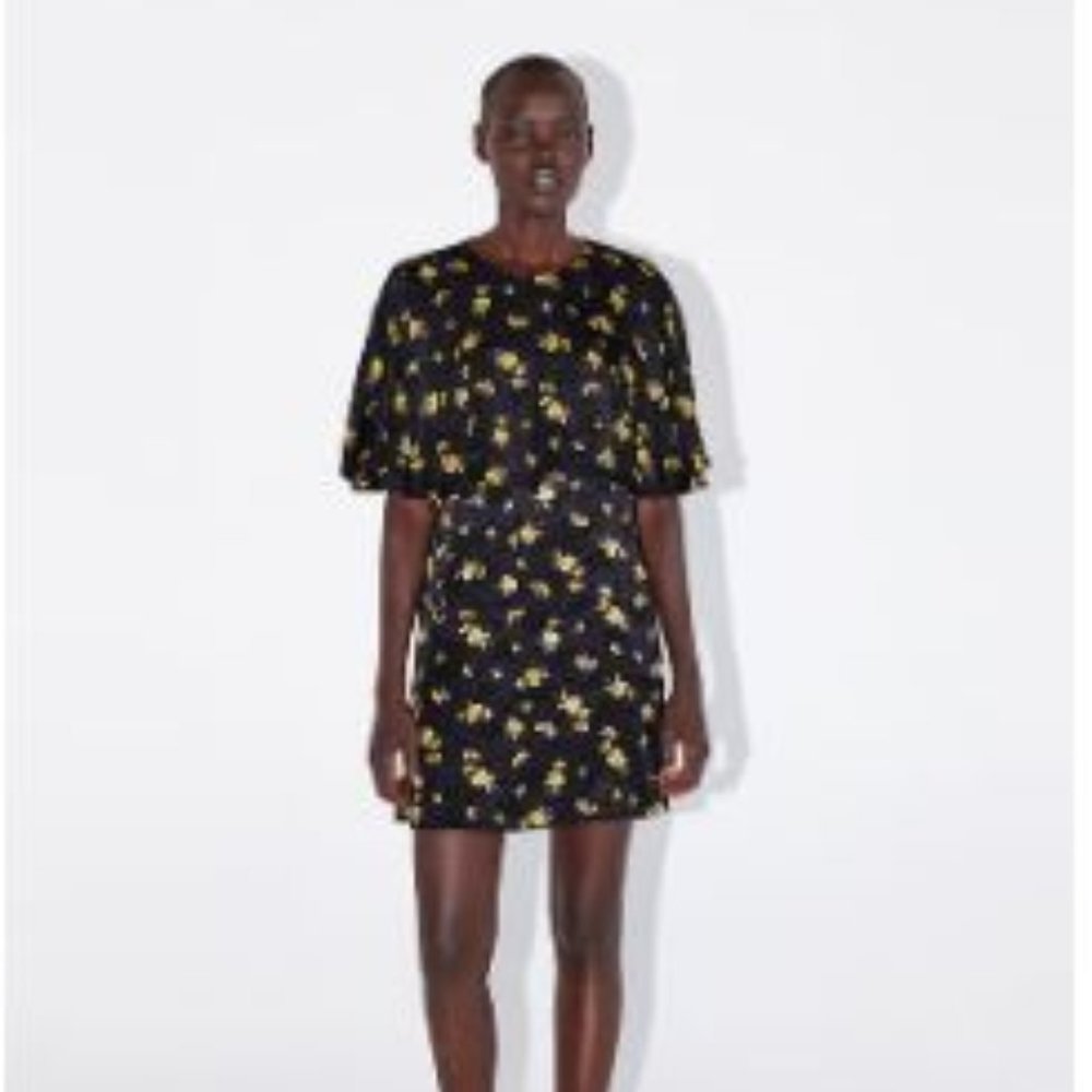 Zara Floral Print Mini Dress